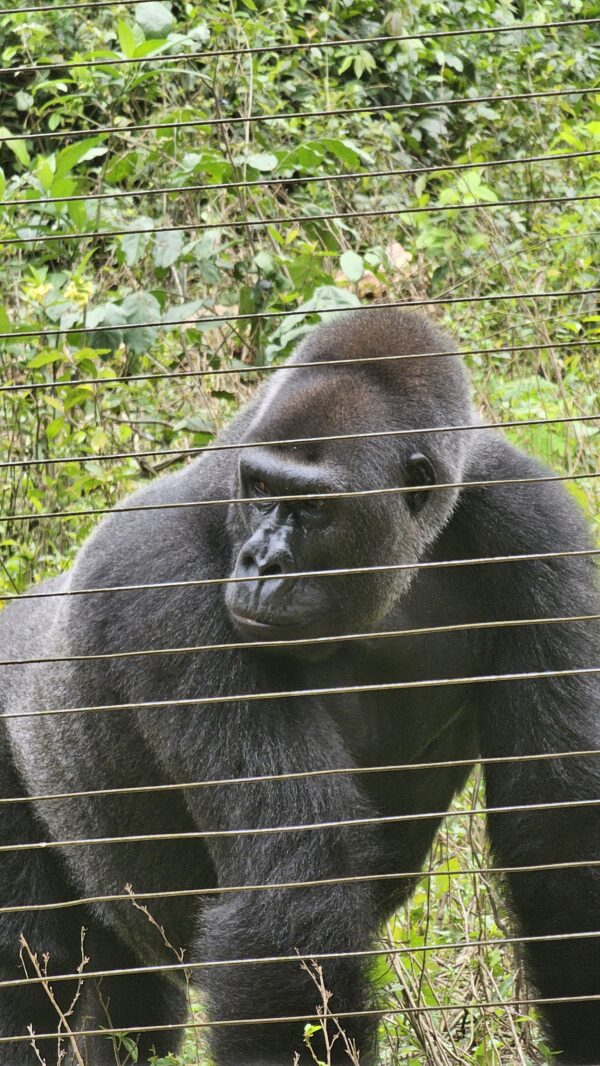 WhatsApp Image 2025-03-09 at 19.25.10