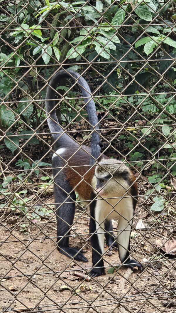 WhatsApp Image 2025-03-09 at 19.25.12